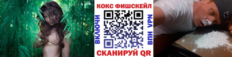 Cocaine Перу  ОМГ ОМГ ссылка  Кондрово 