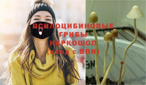 стафф Балахна