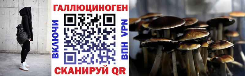 Псилоцибиновые грибы GOLDEN TEACHER  Кондрово 